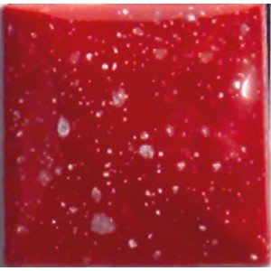 FS 2407-02 Blazing Berry